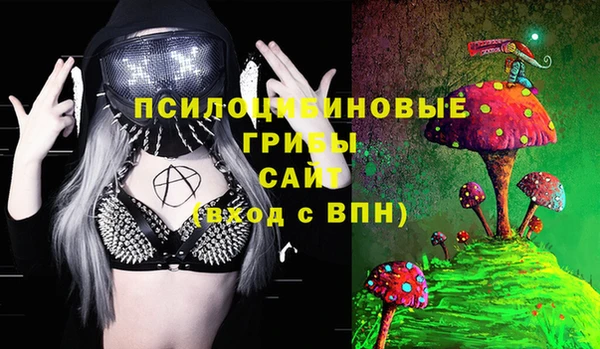 кокс Баксан