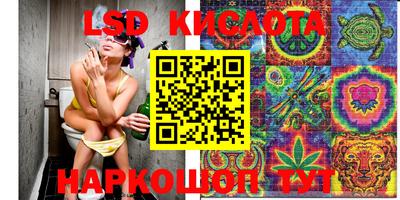 индика Братск