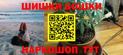 индика Братск