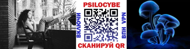 закладка  hydra зеркало  Псилоцибиновые грибы MAGIC MUSHROOMS  Борзя 