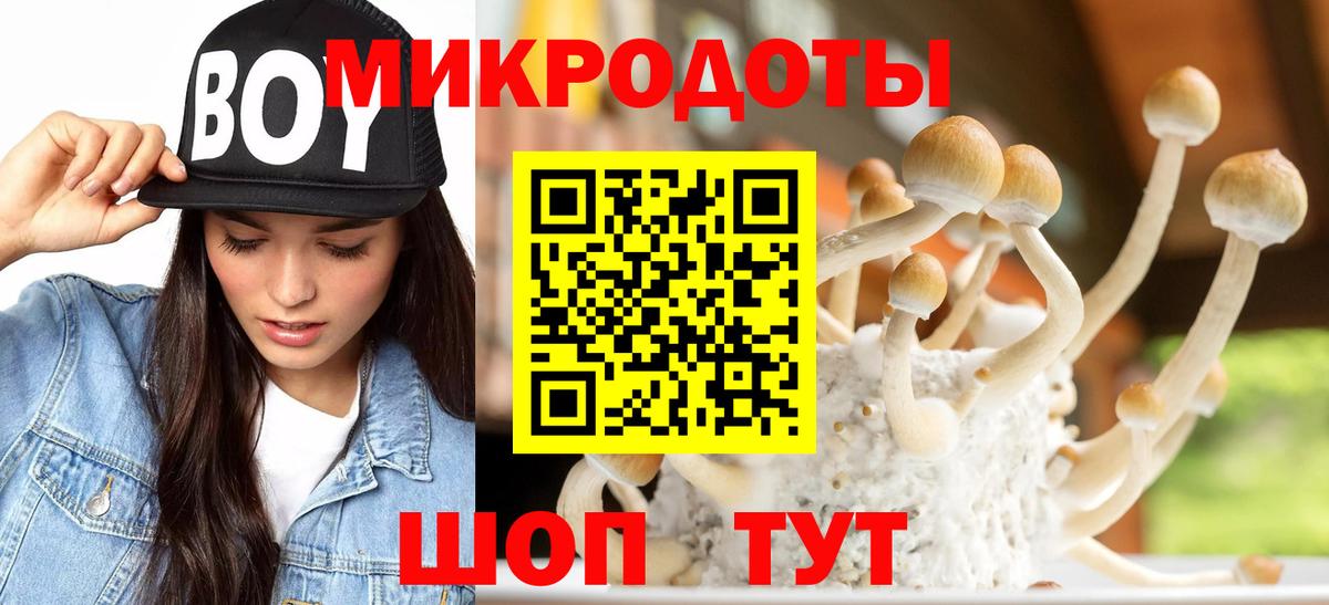 Псилоцибиновые грибы Magic Shrooms  Вход с VPN  Борзя 